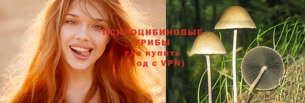 твердый Магадан