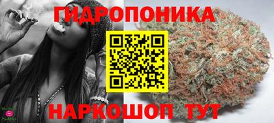 прущие крисы Будённовск