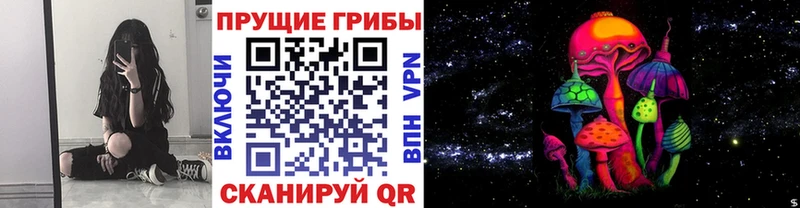 Псилоцибиновые грибы прущие грибы  ссылка на мегу ссылка  Копейск 